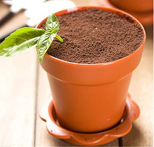 JJMG 6 Pack Colorful Mini Plastic Flower Pot Shape Inspired Customized Cupcake Tiramisu Cups with Trays and Shovel Spoons